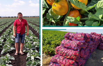 #Клиенты | Предприниматель Дерменжи Андрей и 50 га овощных культур в селе Негурень